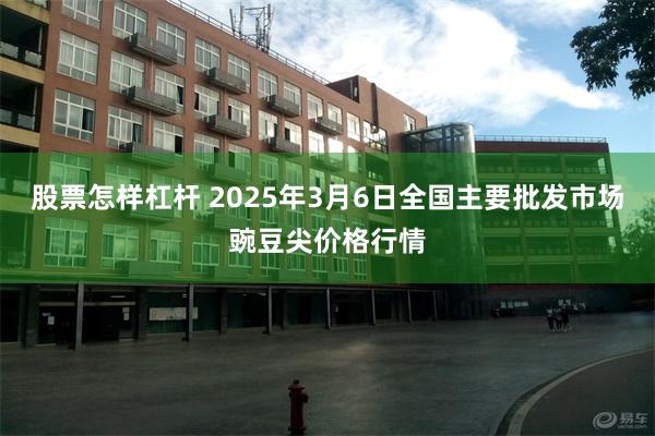 股票怎样杠杆 2025年3月6日全国主要批发市场豌豆尖价格行情